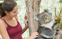 Australie